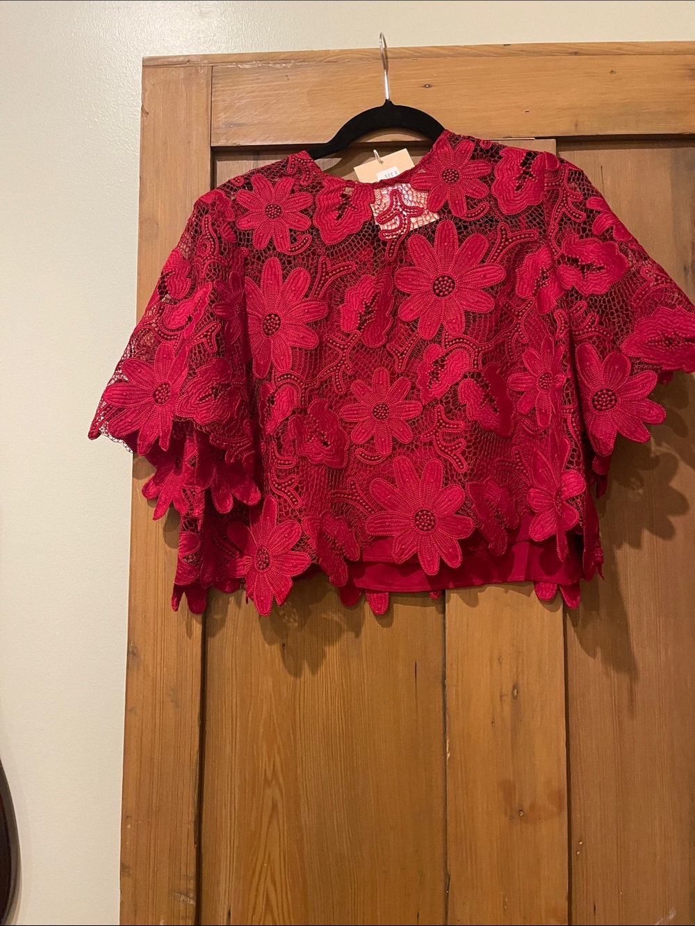 Red Floral Lace Overlay Short Sleeve Blouse